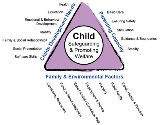 Assessement of need triangel