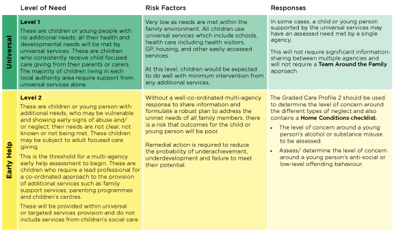 diagram outlining the levels of need (level 1 an 2)