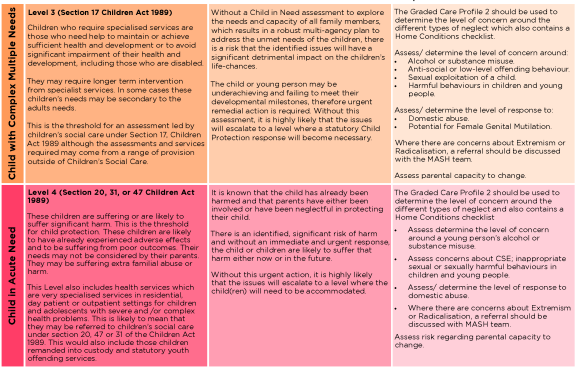 diagram outlining the levels of need (level 3 and 4)