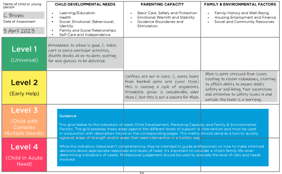 example pf assessment matrix tool