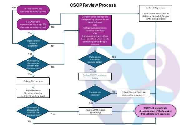 flowchart illustrating the process for safeguarding practice reviews