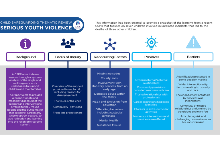 Table describing different the findings from review