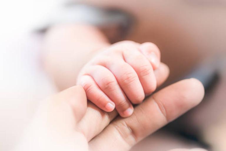 baby gripping and adults finger
