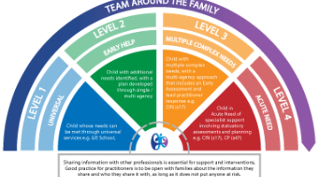 Diagram depicting the different levels and connections with statutory interventions